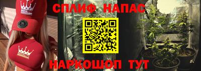 МДПВ Аша