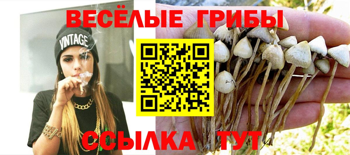 Галлюциногенные грибы ЛСД  купить закладку  Холмск  Вход с VPN 
