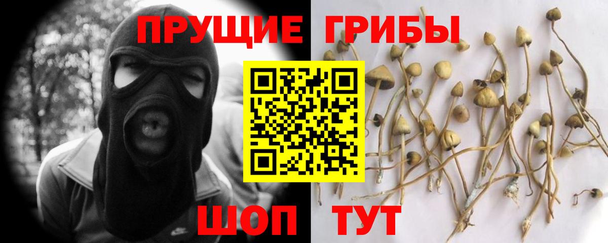 Псилоцибиновые грибы GOLDEN TEACHER Холмск